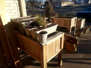 Our 3 big planters, as well as various flower planters and pots. (Cameo by SolarBox)