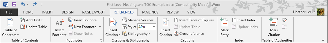 Figure 1: References tab on the ribbon.