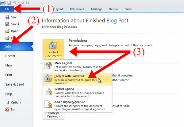 Locking a word document with a password