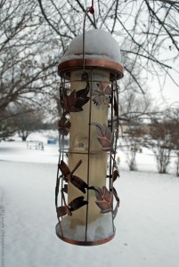 Bird Feeder covered in snow