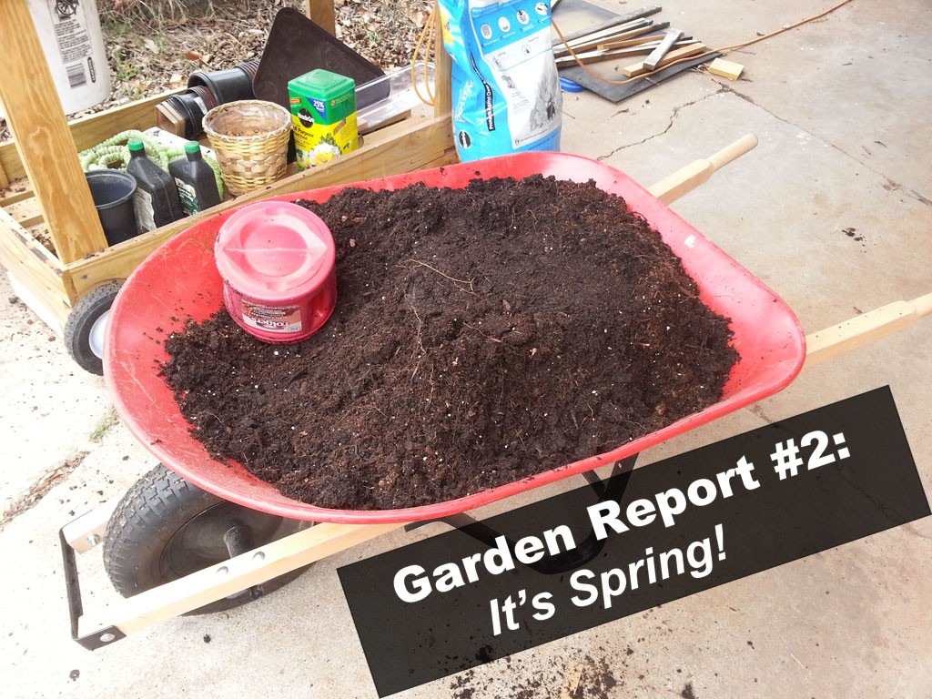 Garden Report #2 - It's Spring