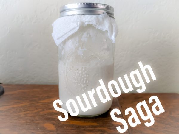 Making Your Own Sourdough Starter from Scratch